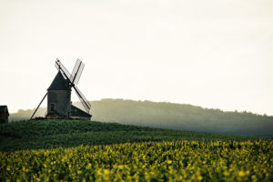 Le Moulin-à-Vent, emblème de son appellation